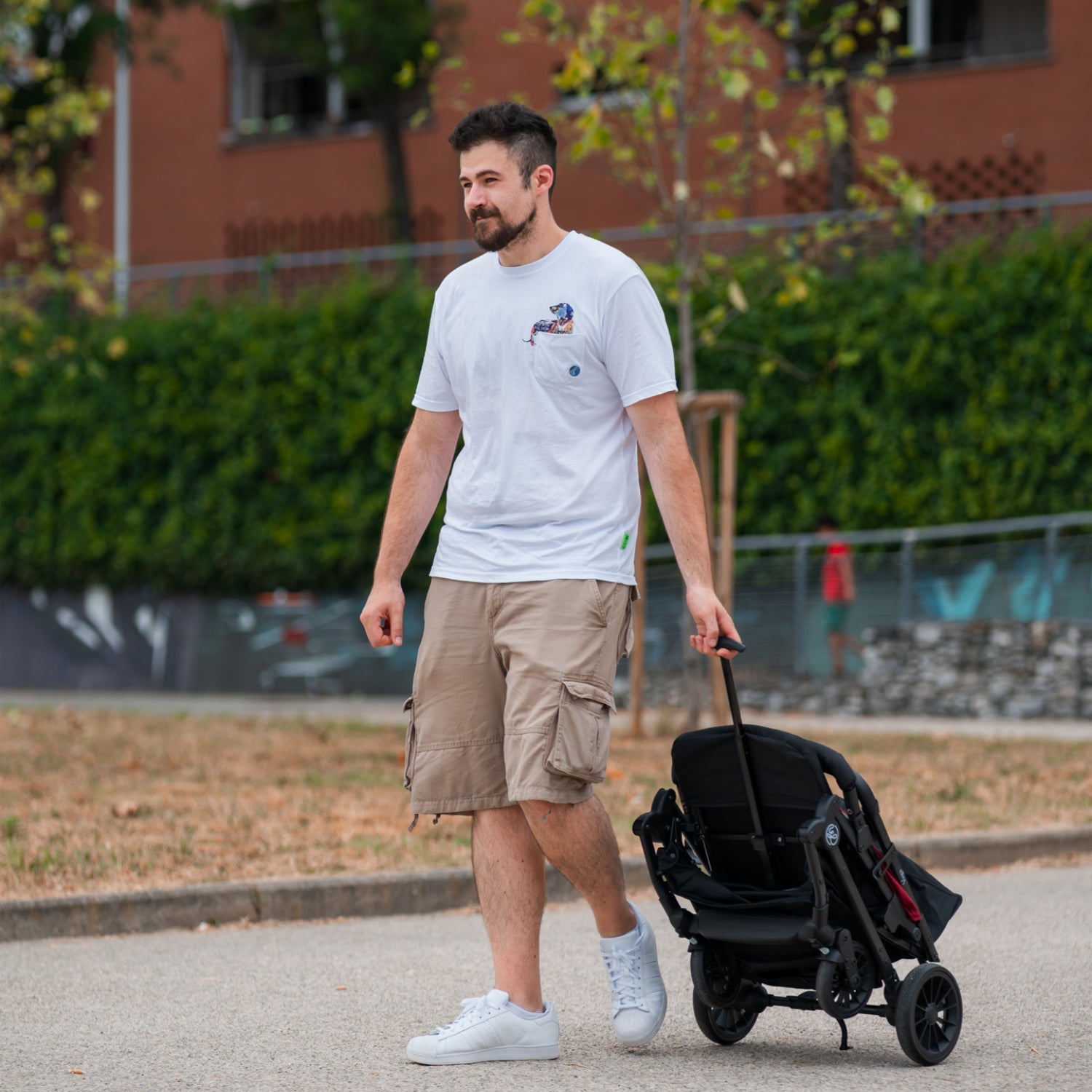 Passeggino Vega