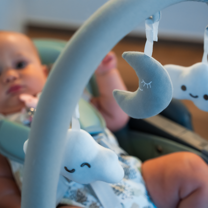 Wonderlife - Seggiolone Pappa Maui