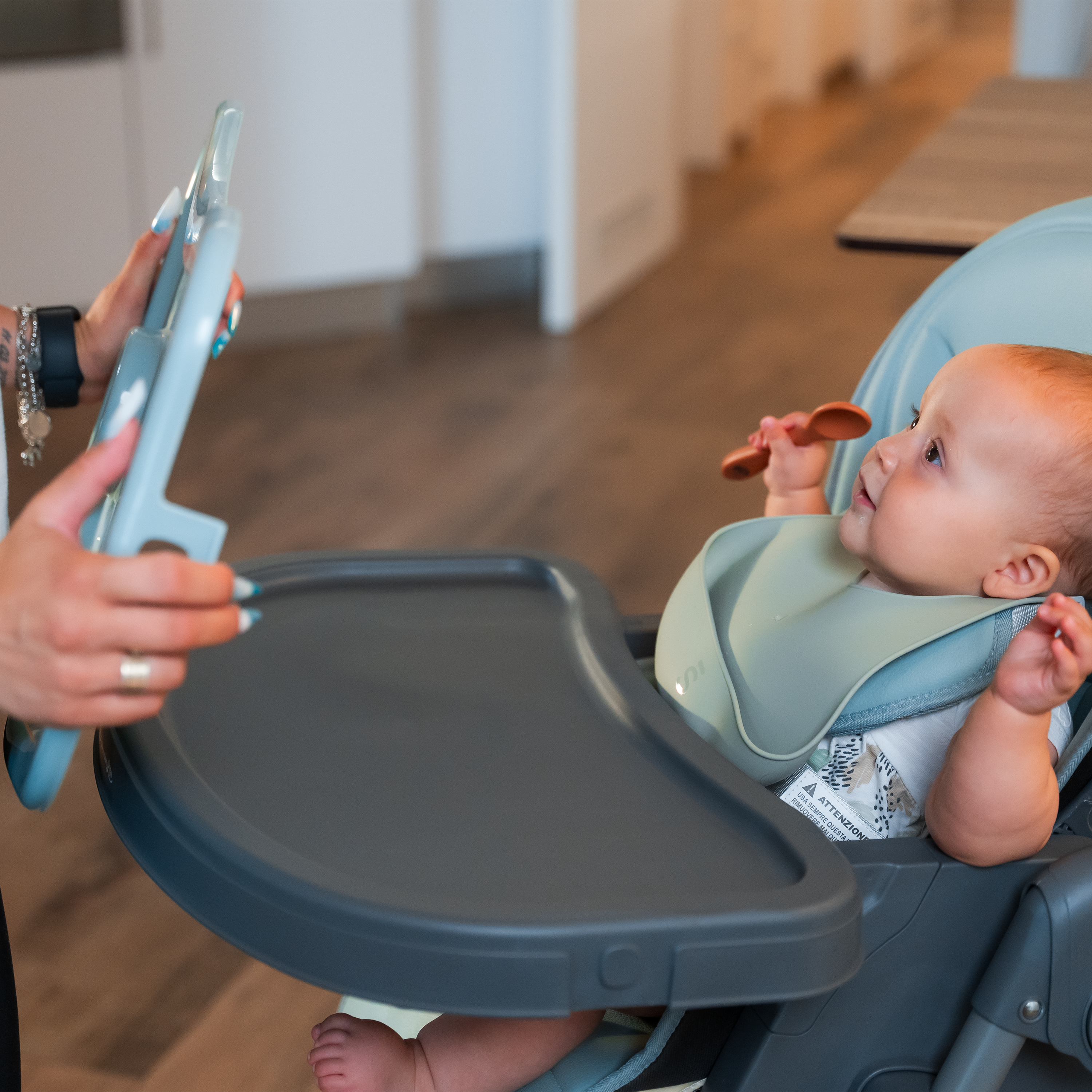 Wonderlife - Seggiolone Pappa Maui